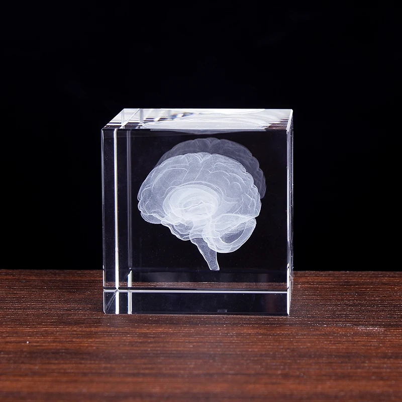 6cm 3D Cerebrum Crystal Cube Model figurine di cervello incise al Laser Paperweight Office Home Decoration Crystal Craft Gifts