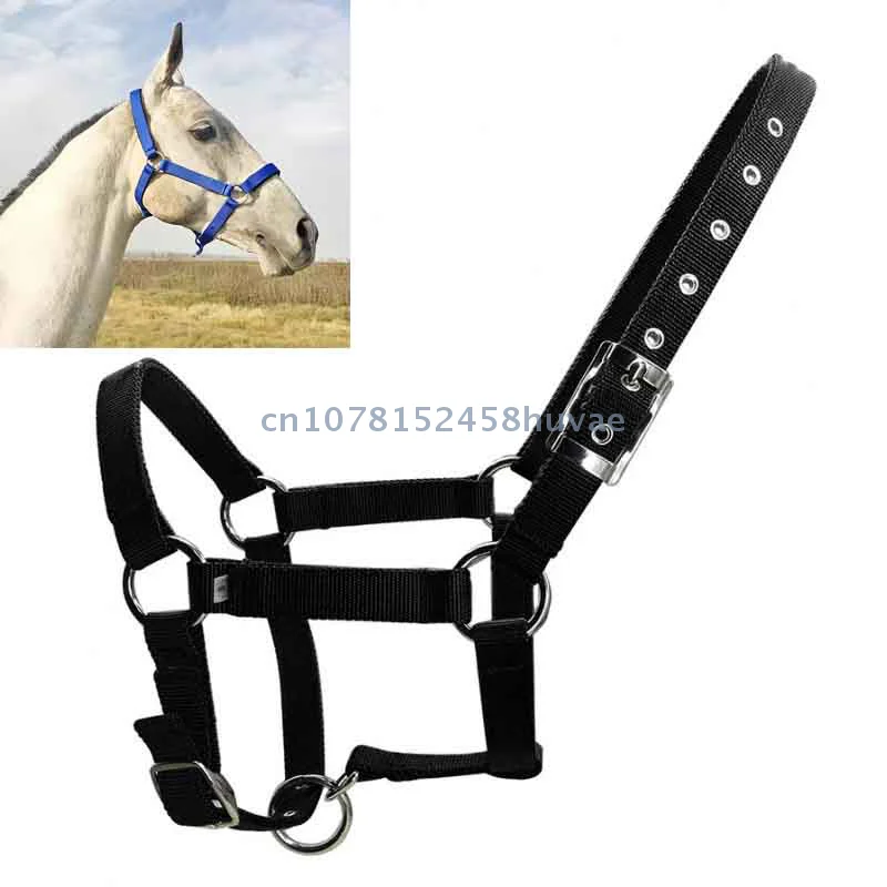 1 Pc Adjustable Nylon Webbing Equestrian Western Horse Halter Horse Riding Wear Black XS S M L XL Ergonomic Comfortable Halters