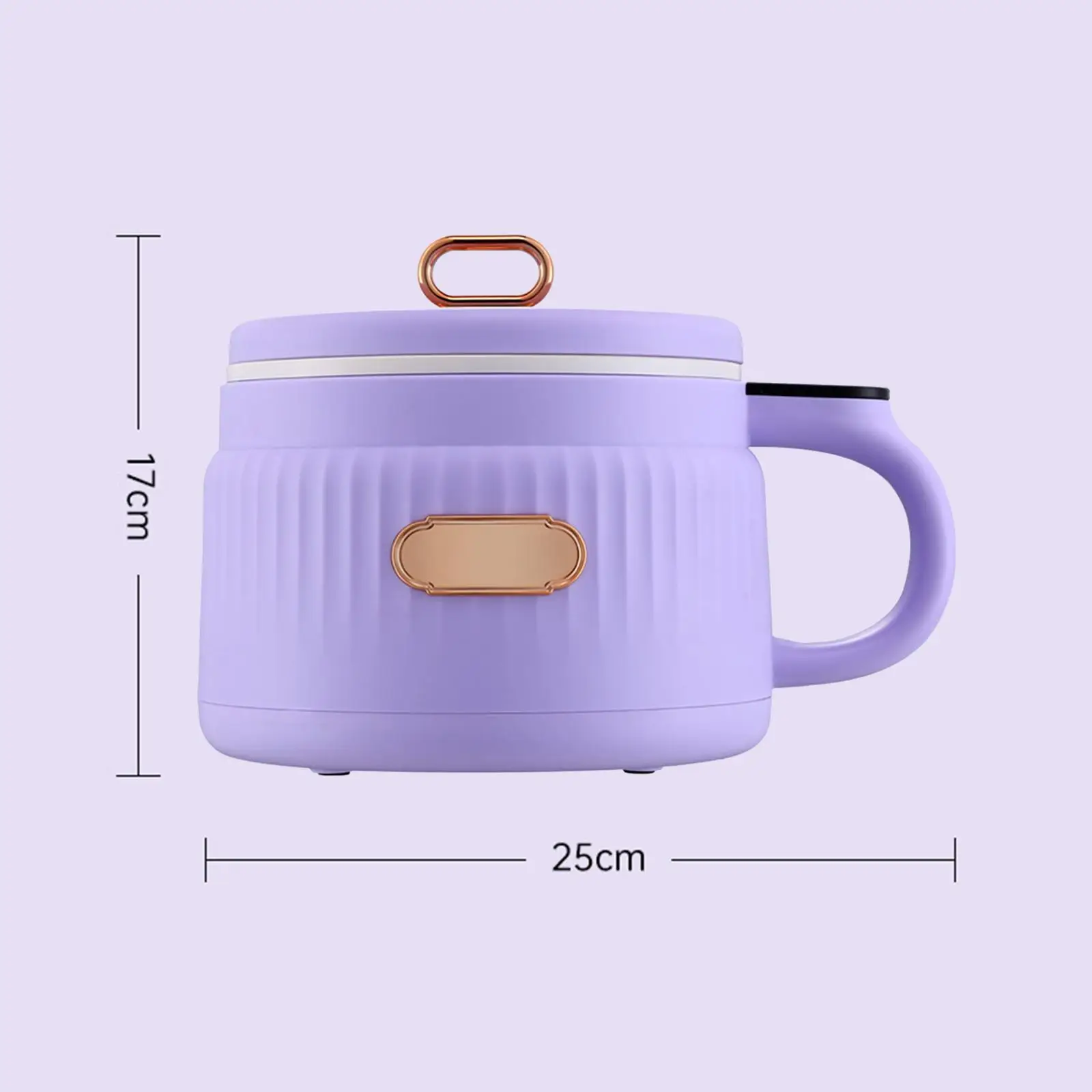 Small Rice Cooker 1.6L 110V Noodle Cooker for Cooking Soup 1-2 People Stews