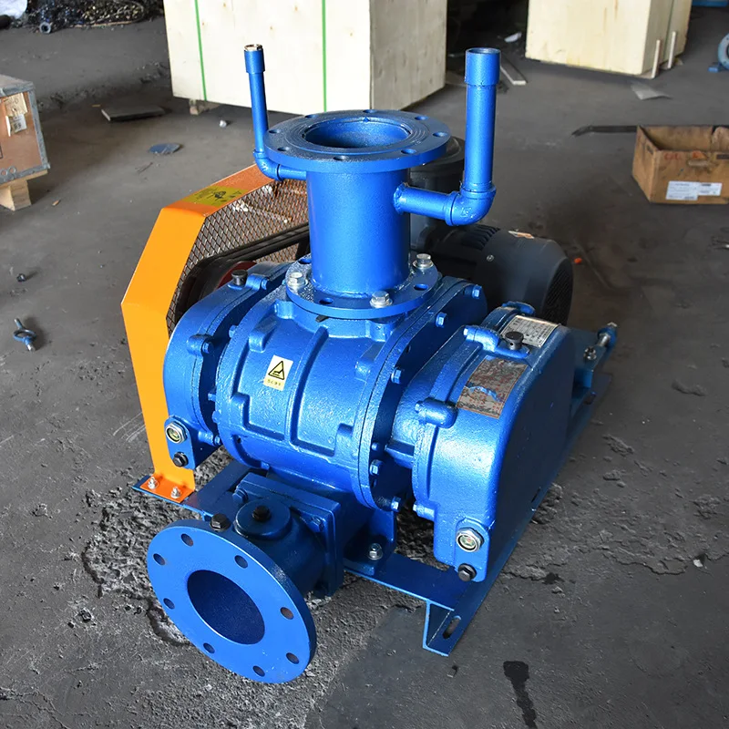 Pneumatic conveying negative pressure, vacuum pump