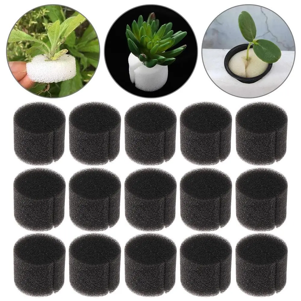 50/100Pcs Soilless Hydroponic Nursery Sponge Round Planting Sponge Vegetables Flowers Seedling Tray Roots Fixed Sponge