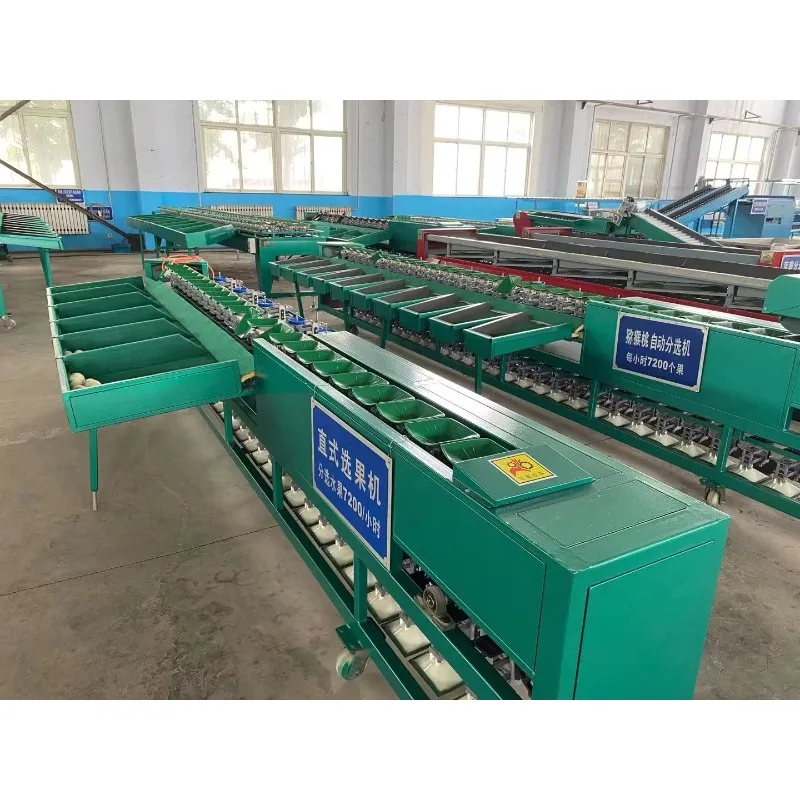 Industrial Fruit Weight Sorting Machine Multi Grade Weight Grading Sorter Device For Kiwifruit Citrus Fruit Processing Custom