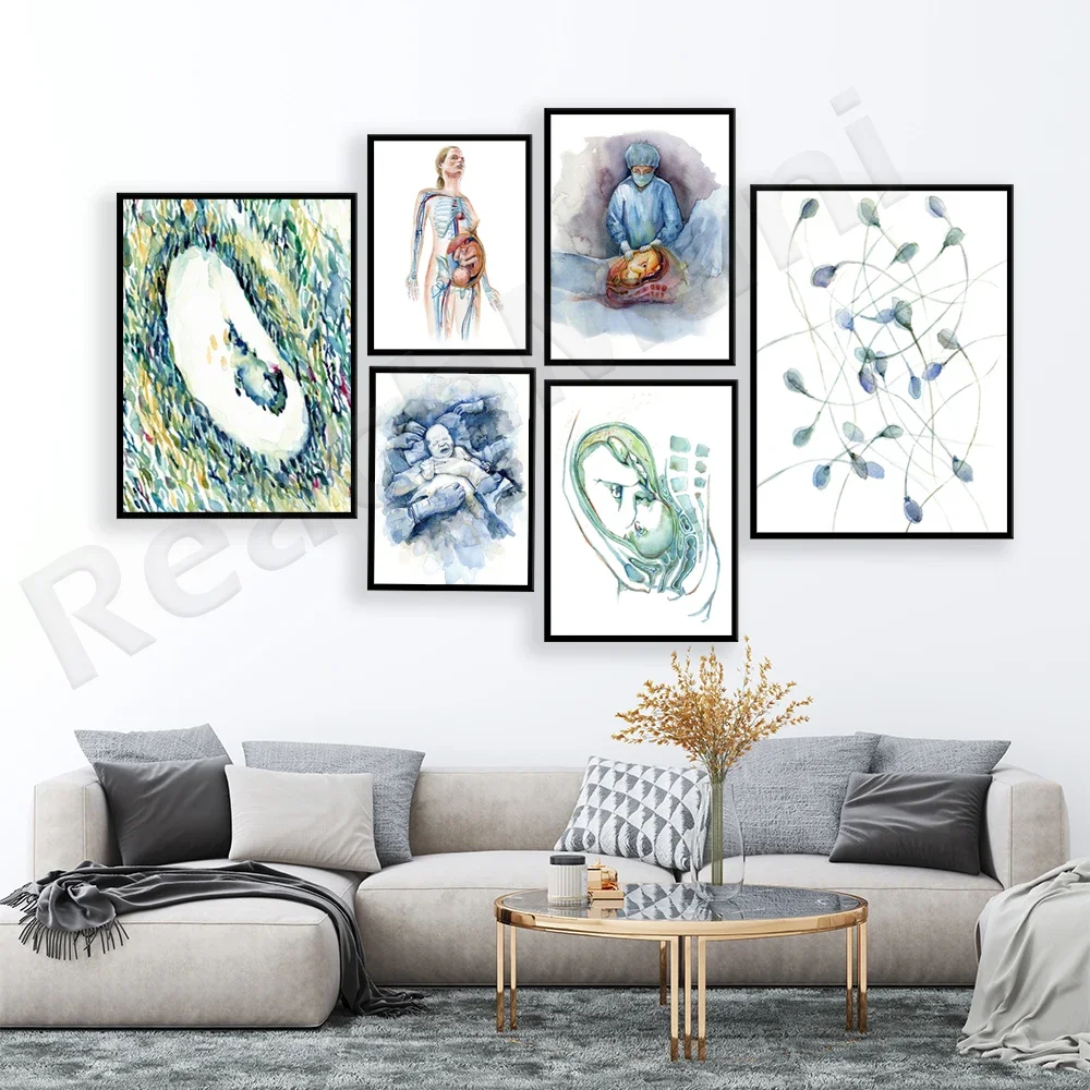 Menstrual cycle, sperm print, cesarean section OBGYN and female reproductive anatomy, ultrasound, pregnancy watercolor poster