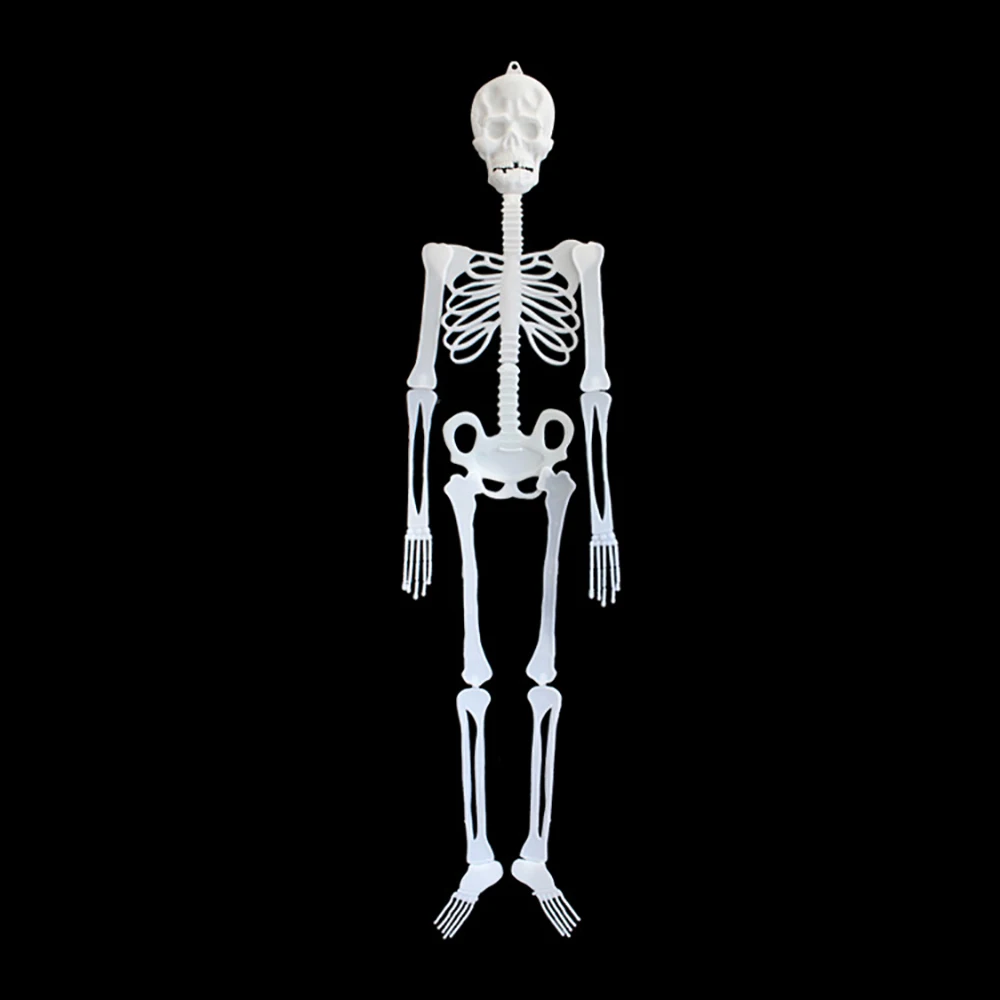 Squelette Phosphorescent à Suspendre – 30 ou 90 cm – photo 3