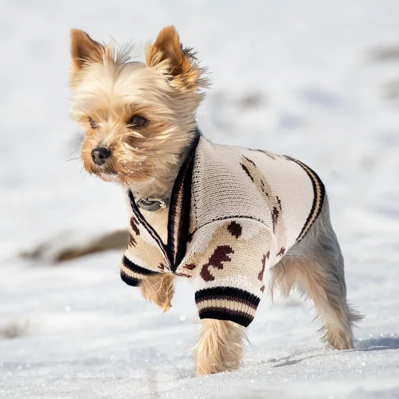 Luxus Hund Pullover Haustier Strickjacke Gestreifte Gestrickte Hund Mantel Chihuahua Warme Kleidung Winter Jacken für Hund Bichon Hund Zubehör – Detail 10
