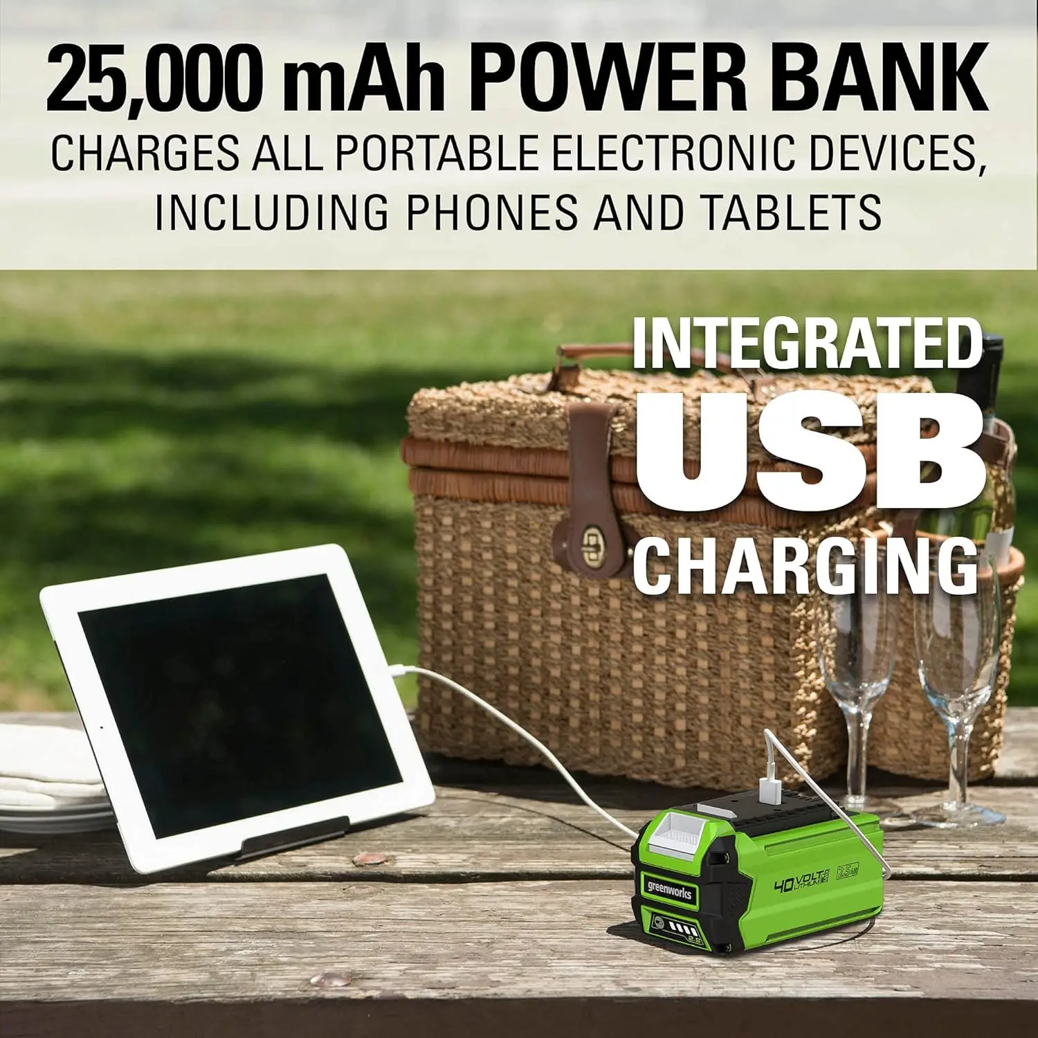 Greenworks 48V Indu…