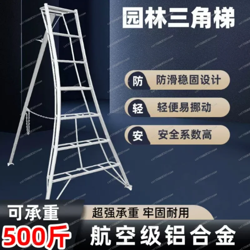 Échelle triangulaire spéciale  - Tree Stand Ladder avis et prix