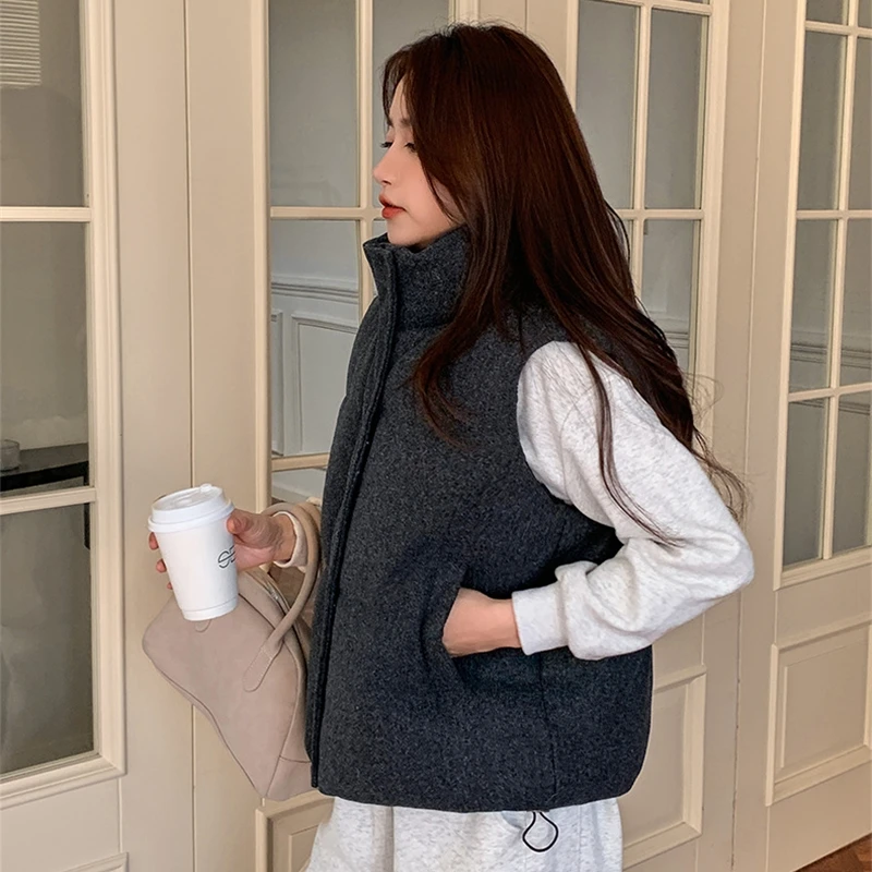 Chaleco de algodón corto para mujer, versión coreana 2025, chaleco de piel de cordero sin mangas con cuello levantado, chaqueta negra y gris, Top Tide