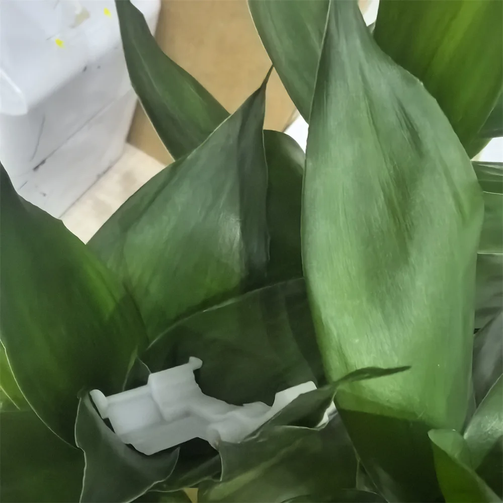 

5X Ly2579001 Feeder Cam Lever for Brother DCP 7055 7057 7060 7065 7070 HL 2130 2132 2220 2230 2240 2242 2250 2270 MFC 7360 7362