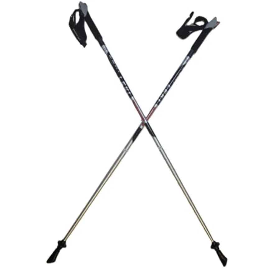 

Удлинители для палок Nordic Walking Speed Pacer Vario HM Carbon, регулируемые, серебристые, 115 см