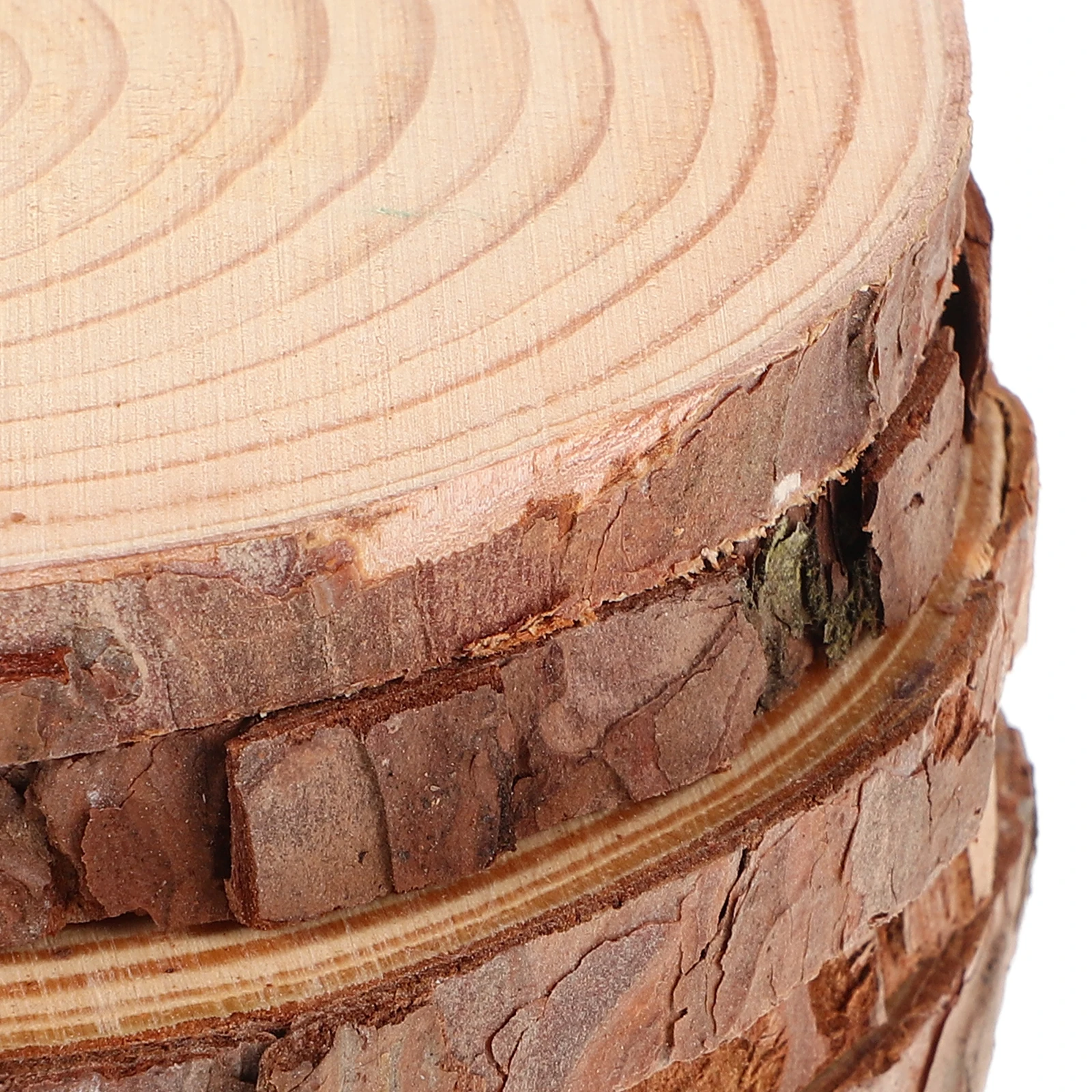 

10Pcs Round Wood Slices Natural Pine Wooden Discs Large DIY Unfinished Circles Wedding Decorations Craft Coasters Centerpiece