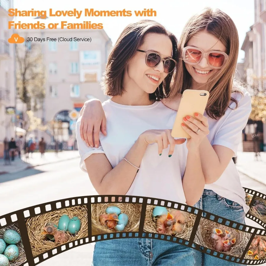 บ้านนกอัจฉริยะพร้อมกล้อง กล้องนก 3MP สําหรับกลางแจ้ง จับภาพอัตโนมัติ วิดีโอนก การตรวจจับการเคลื่อนไหว นาฬิกา หมวกทํารังนก