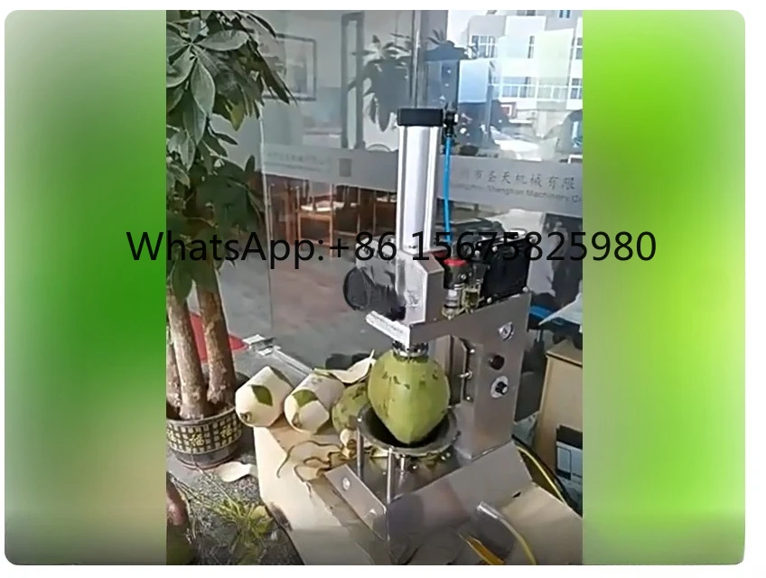 Customized Fully Automatic Coconut P eeler One-Touch Control Green Coconut Processing Equipment