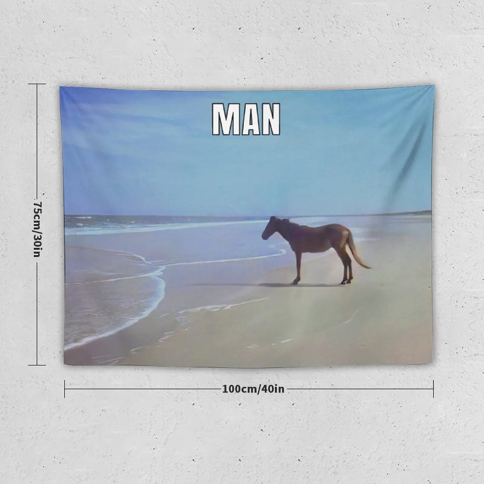 Man ? HD / Horse on Beach Meme Tapestry House Decorations Wall Hangings Decoration Funny Tapestry