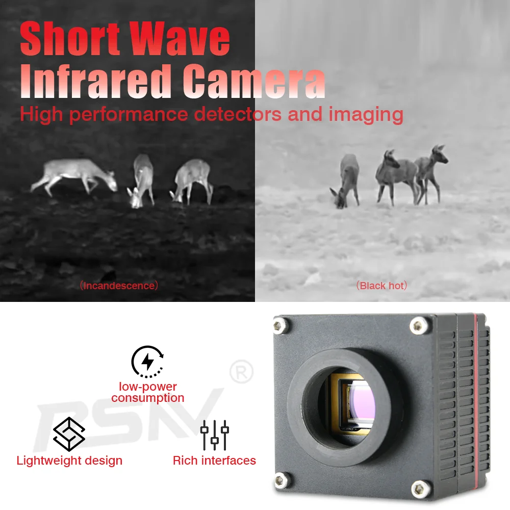 RSNV Visione notturna Funzione di raffreddamento profondo TEC a due stadi Rivelatore InGaAs Risoluzione Telecamera SWIR a infrarossi a onde corte raffreddata da 640 * 512px