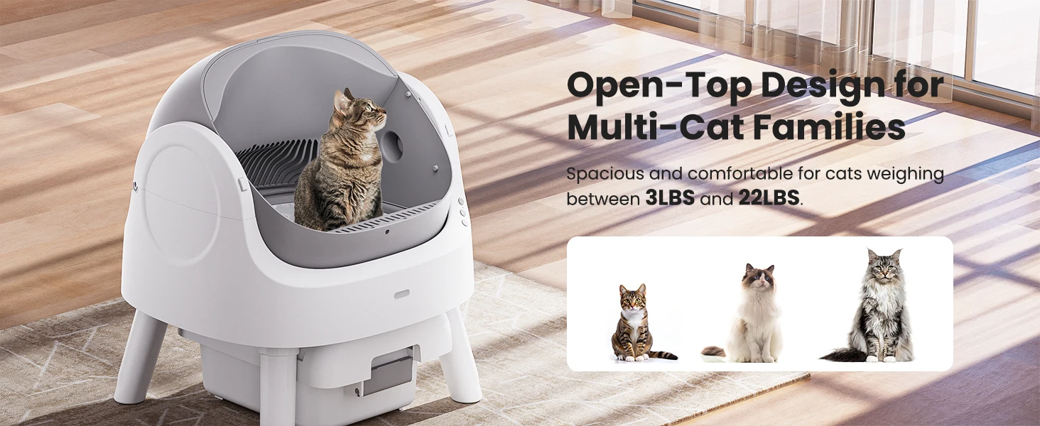 Multi-Cat Families