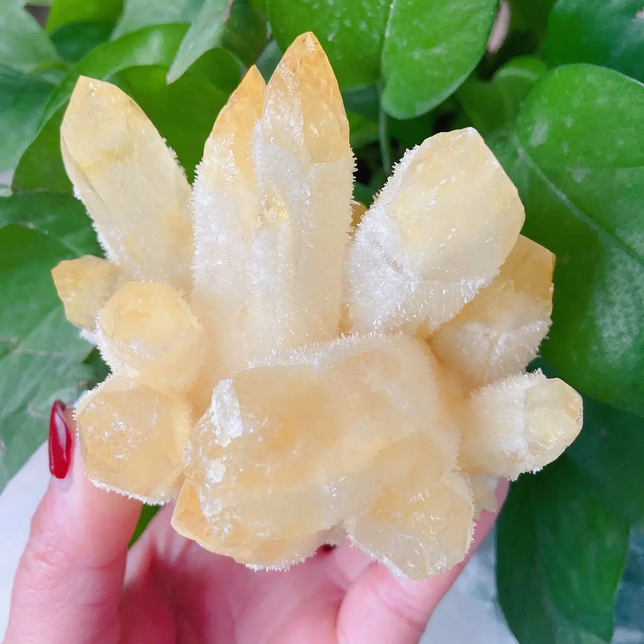 Naturaln yellow Ghost Phantom Quartz Crystal Cluster Healing Specimen