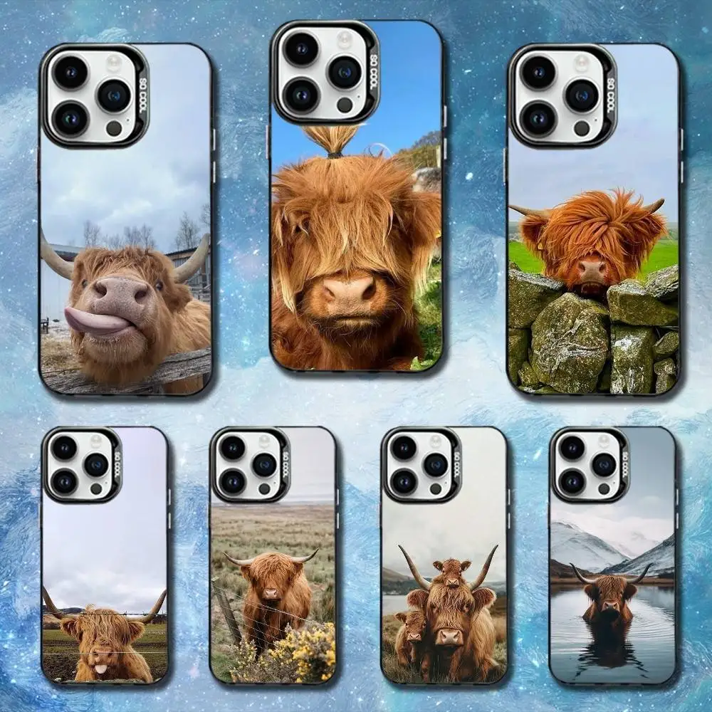 

Cute Highland Cow Phone Case For iPhone 11,12,13,16,14,15,Mini,Pro,XS,MAX Black Matte Shockproof Cover