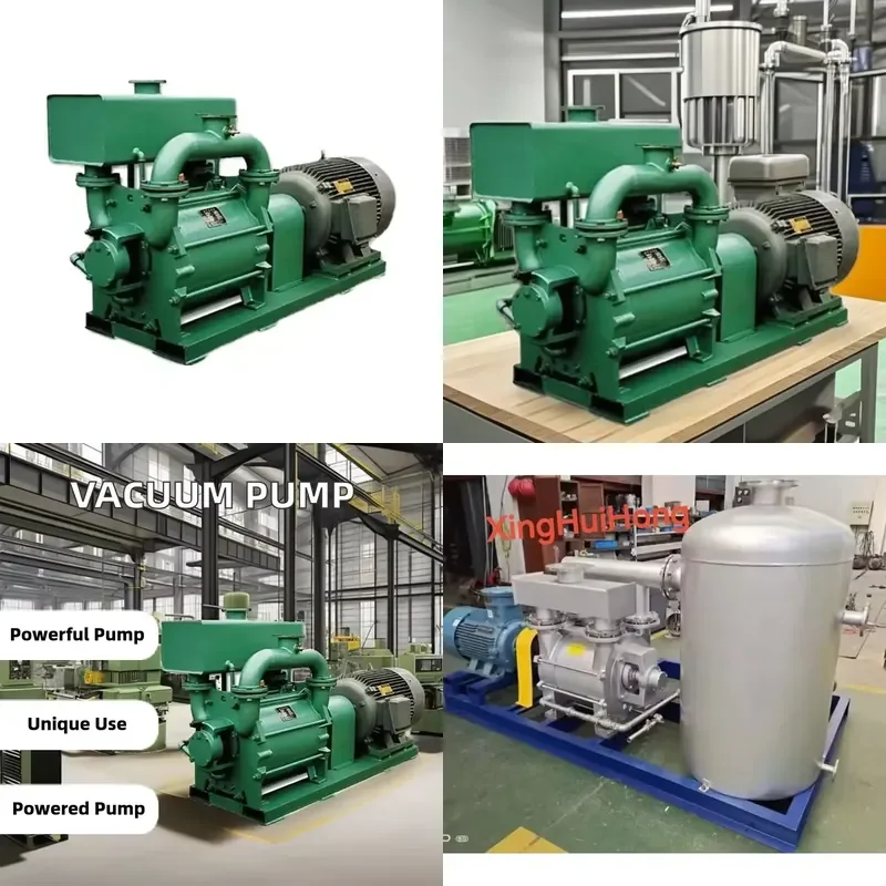 Gas Capture and Transfer Pumps Vacuum Pumps for Industries Like Metallurgy Chemical Food Electronic Coating