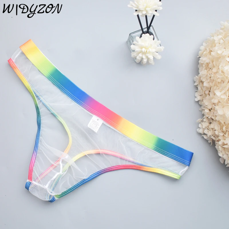 Gay Underwear Men Bikini See Through Briefs Underpants Ultra-thin Mesh Male Mini Panties Cuecas Sexy Slip for Men Sissy Lingerie