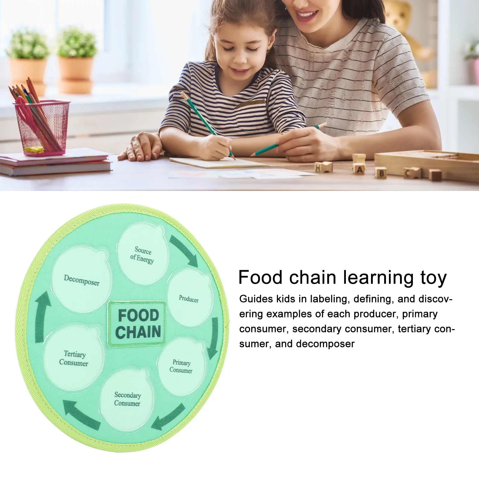 

Life Cycle Learning Toys Felt Material Animal Food Chain Food Web Science Educational for Preschool Life Cycle Matching Game