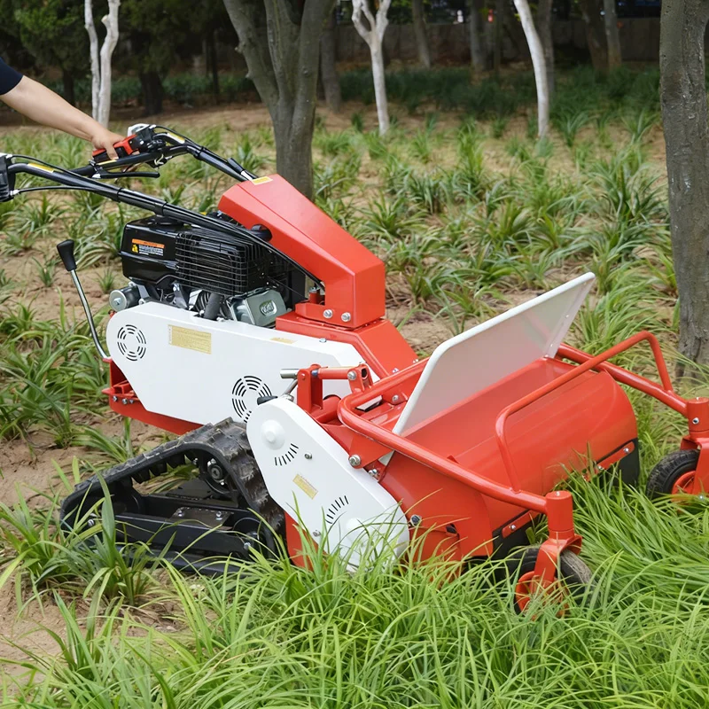 売れ筋の追跡式歩行型芝刈り機、スチールフレーム、高さ調整可能、卸売
