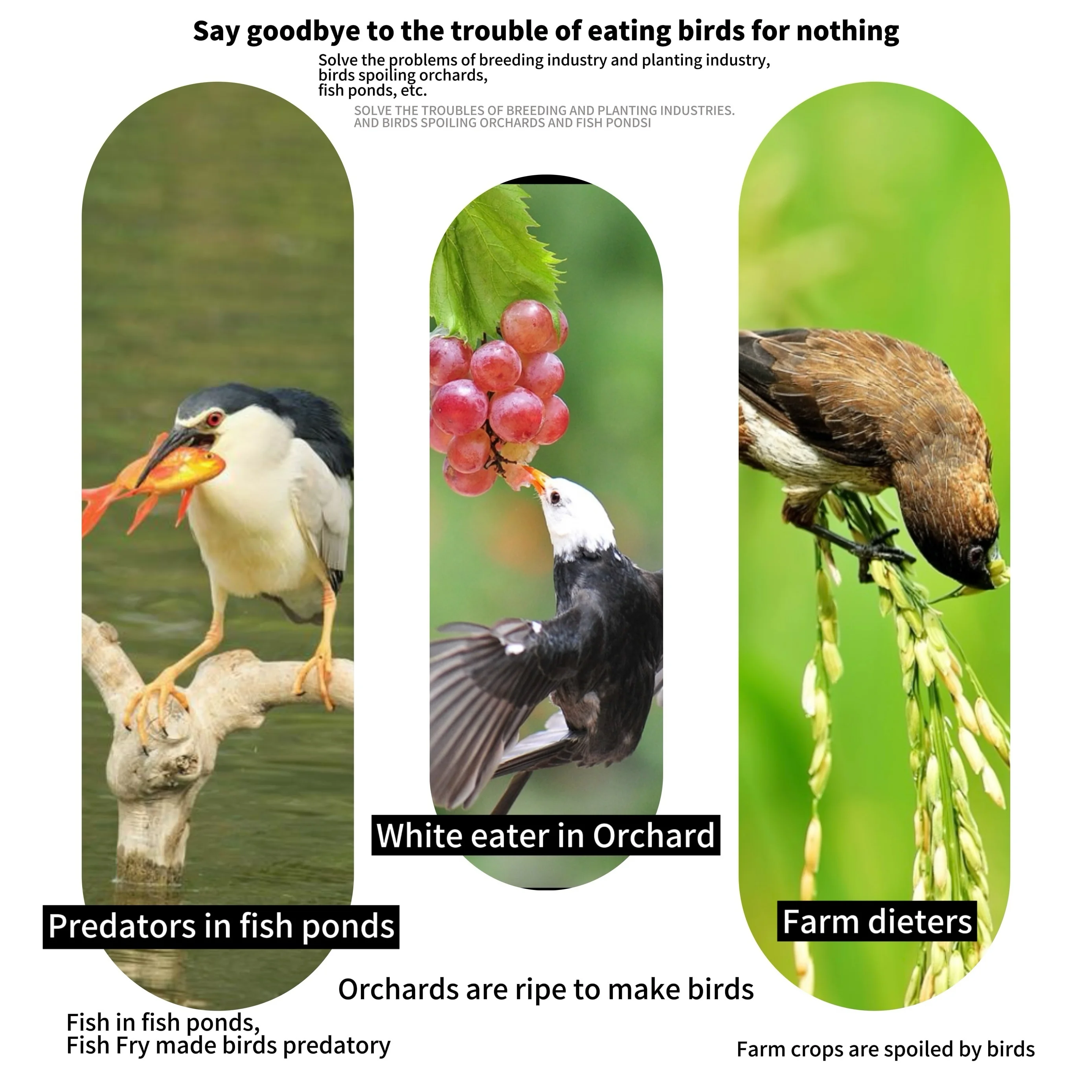 1 Stück, Vogelschutznetz, feinmaschiges Vogelnetz, Katzennetz für Balkone ohne Bohren, Laubnetz für feinmaschiges Teichabdeckungsnetz – Detail 4