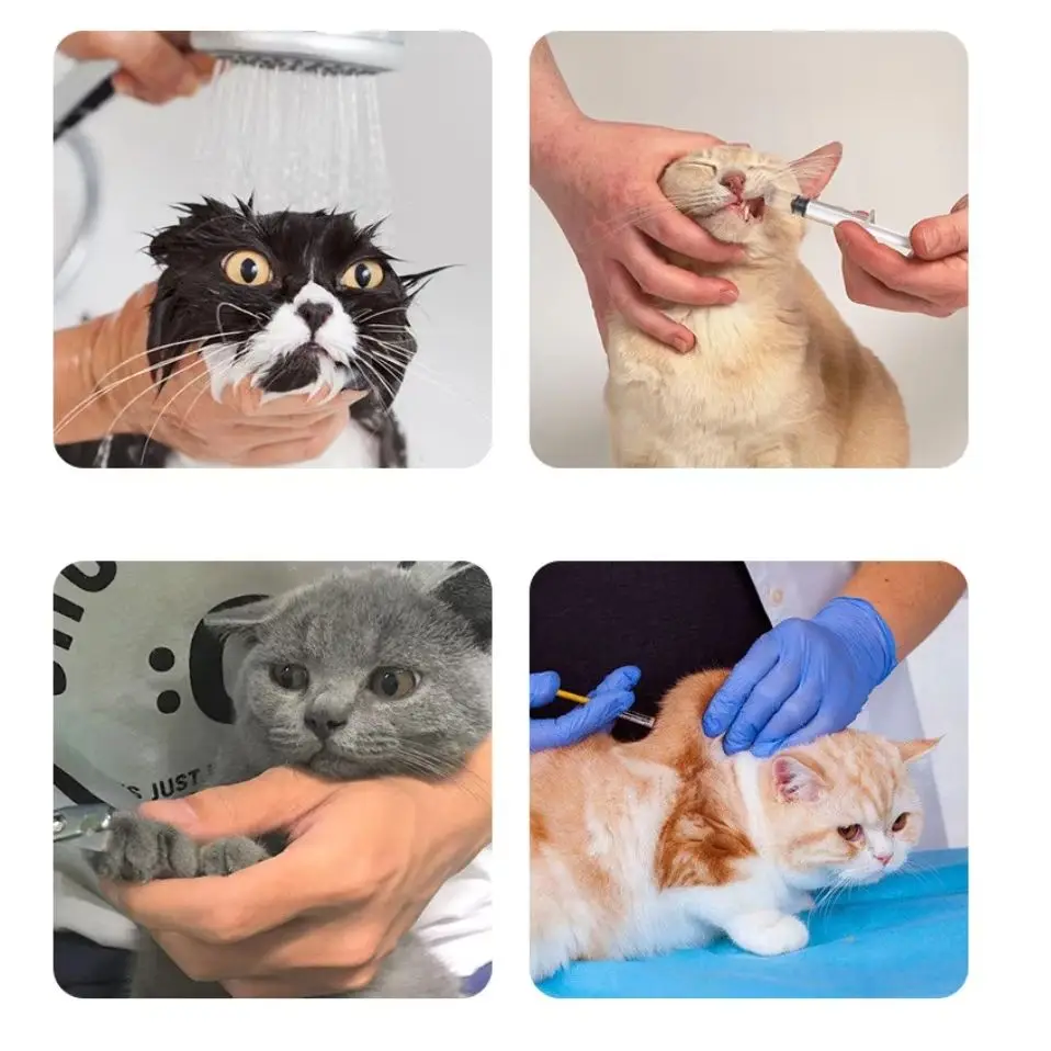 Adjustable Silicone Cat Claw Protector Bath Anti-Scratch Cat Shoes For Cat Pet Bath Wash Boots Cat Paw Nail Cover Pet Grooming S view 3