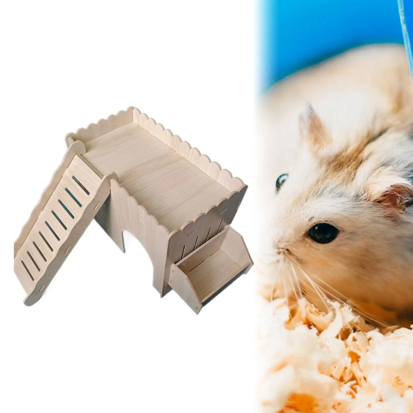 ΠΠ΅ΡΠ΅Π²ΡΠ½Π½ΡΠΉ Π΄ΠΎΠΌΠΈΠΊ Π΄Π»Ρ ΠΌΠΎΡΡΠΊΠΎΠΉ ΡΠ²ΠΈΠ½ΠΊΠΈ, ΡΠ±Π΅ΠΆΠΈΡΠ΅ Π΄Π»Ρ ΠΊΡΠΎΠ»ΠΈΠΊΠΎΠ², Π·Π°ΠΌΠΎΠΊ, Π»Π΅Π³ΠΊΠΎ ΡΠΎΠ±ΡΠ°ΡΡ, ΠΏΡΠΎΡΠ½ΡΠΉ ΠΈΠ³ΡΠΎΠ²ΠΎΠΉ Π΄ΠΎΠΌΠΈΠΊ Π΄Π»Ρ ΡΠΈΡΠΈΠΉΡΠΊΠΈΡ
Ρ
ΠΎΠΌΡΠΊΠΎΠ², ΠΌΡΡΠ΅ΠΉ, ΠΈΠ³ΡΠ°ΡΡΠΈΡ
ΠΠ΅ΡΠ΅Π²ΡΠ½Π½ΡΠΉ Π΄ΠΎΠΌΠΈΠΊ Π΄Π»Ρ ΠΌΠΎΡΡΠΊΠΎΠΉ ΡΠ²ΠΈΠ½ΠΊΠΈ, ΡΠ±Π΅ΠΆΠΈΡΠ΅ Π΄Π»Ρ ΠΊΡΠΎΠ»ΠΈΠΊΠΎΠ², Π·Π°ΠΌΠΎΠΊ, Π»Π΅Π³ΠΊΠΎ ΡΠΎΠ±ΡΠ°ΡΡ, ΠΏΡΠΎΡΠ½ΡΠΉ ΠΈΠ³ΡΠΎΠ²ΠΎΠΉ Π΄ΠΎΠΌΠΈΠΊ Π΄Π»Ρ ΡΠΈΡΠΈΠΉΡΠΊΠΈΡ
Ρ
ΠΎΠΌΡΠΊΠΎΠ², ΠΌΡΡΠ΅ΠΉ, ΠΈΠ³ΡΠ°ΡΡΠΈΡ