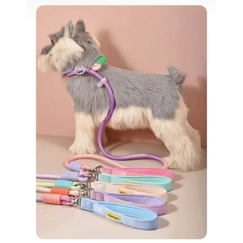 Dog Leash Anti-Tangle Pet Traction Rope for Medium to Large Dogs Polyester Material Non-Stretch Proof