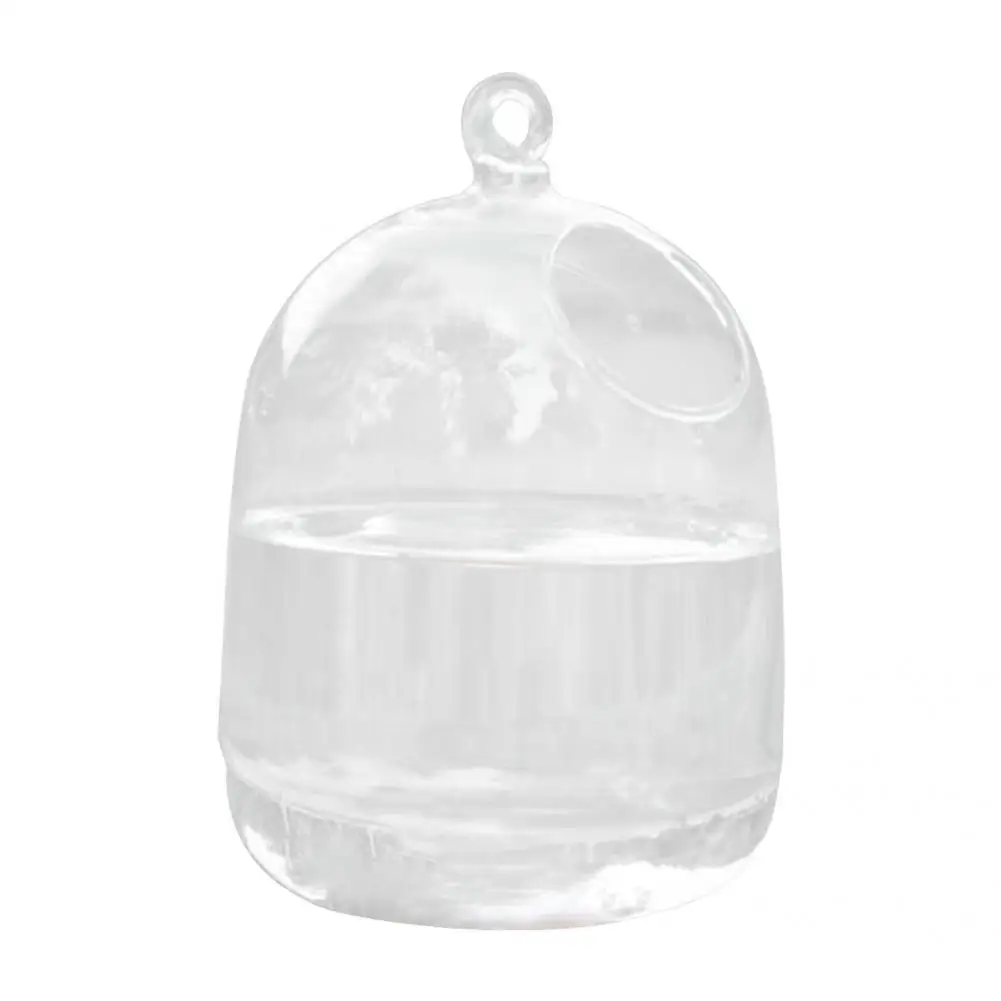 Durable Hanging Glass Fishbowl, Light Weight, Fine Workmanship