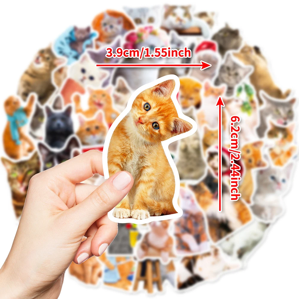 

10/30/50pcs Cartoon Animal Cat Meme Stickers Cute Pet Kitten Graffiti Decals DIY Luggage Phone Notebook Classic Kids Toy Sticker