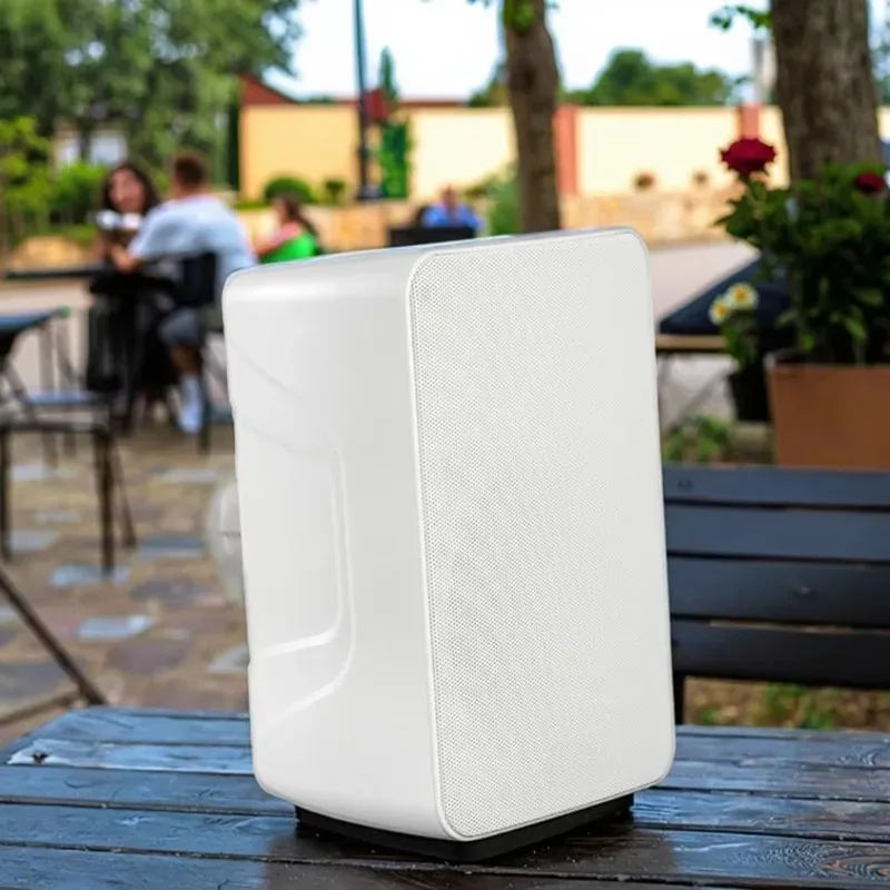 

IP-40W III S Outdoor IP55 8 Ohms 40w Network Matching Wall Mount Sub Speaker Supporting Wall-mounted Auxiliary Speaker