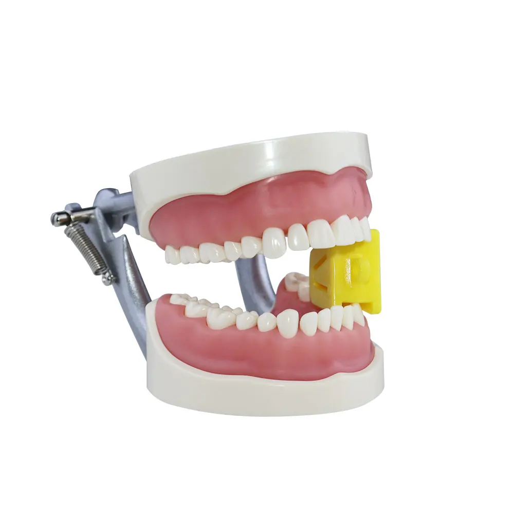 3 szt. 3size otwieracz do stomatologiczne do ust klocka do zębów retraktora gumowego narzędzie do pielęgnacji jamy ustnej materiałów dentystycznych