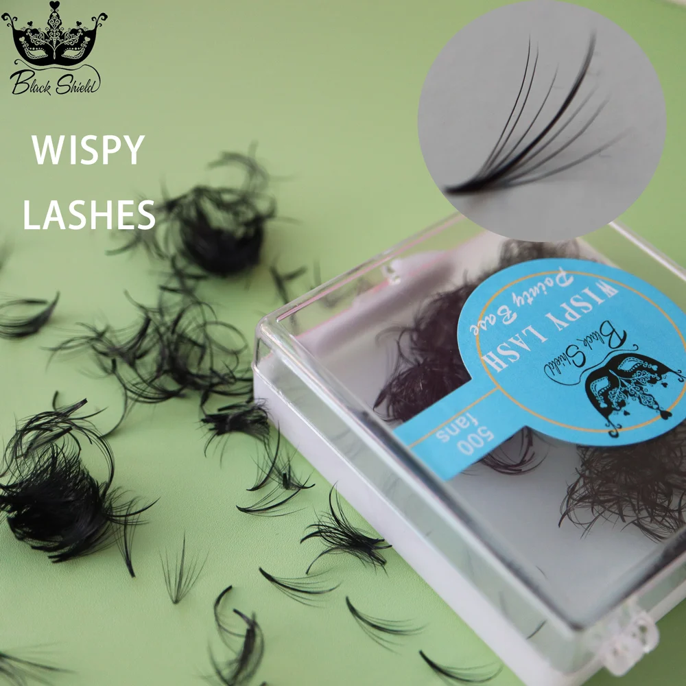 

Black Shield 500 Fans 5D/7D/9D 0.07 8-15mm Handmade Natural False Lash Promade Eyelashes Extension Loose Fans Wispy Lashes