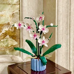 MOC Orchidea Bouquet Blocco fiore in vaso Building Blocks Fit 10311 Kit romantico Assemblaggio Giocattolo da costruzione Ragazza Regalo Primo amore