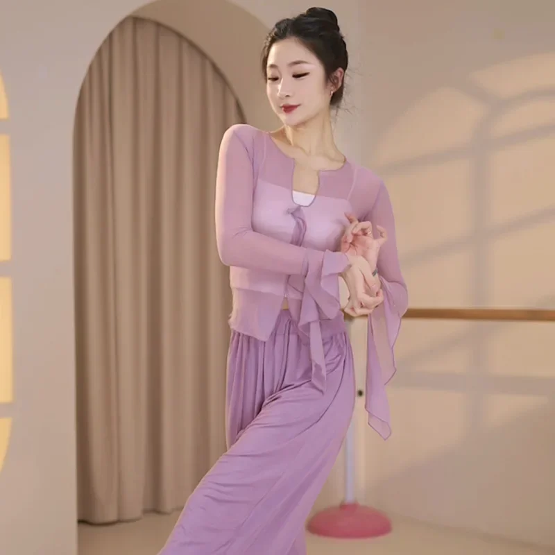 Dance clothes adult female classical dance body rhyme gauze clothes elegant practice clothes art test hanfu folk dance  top