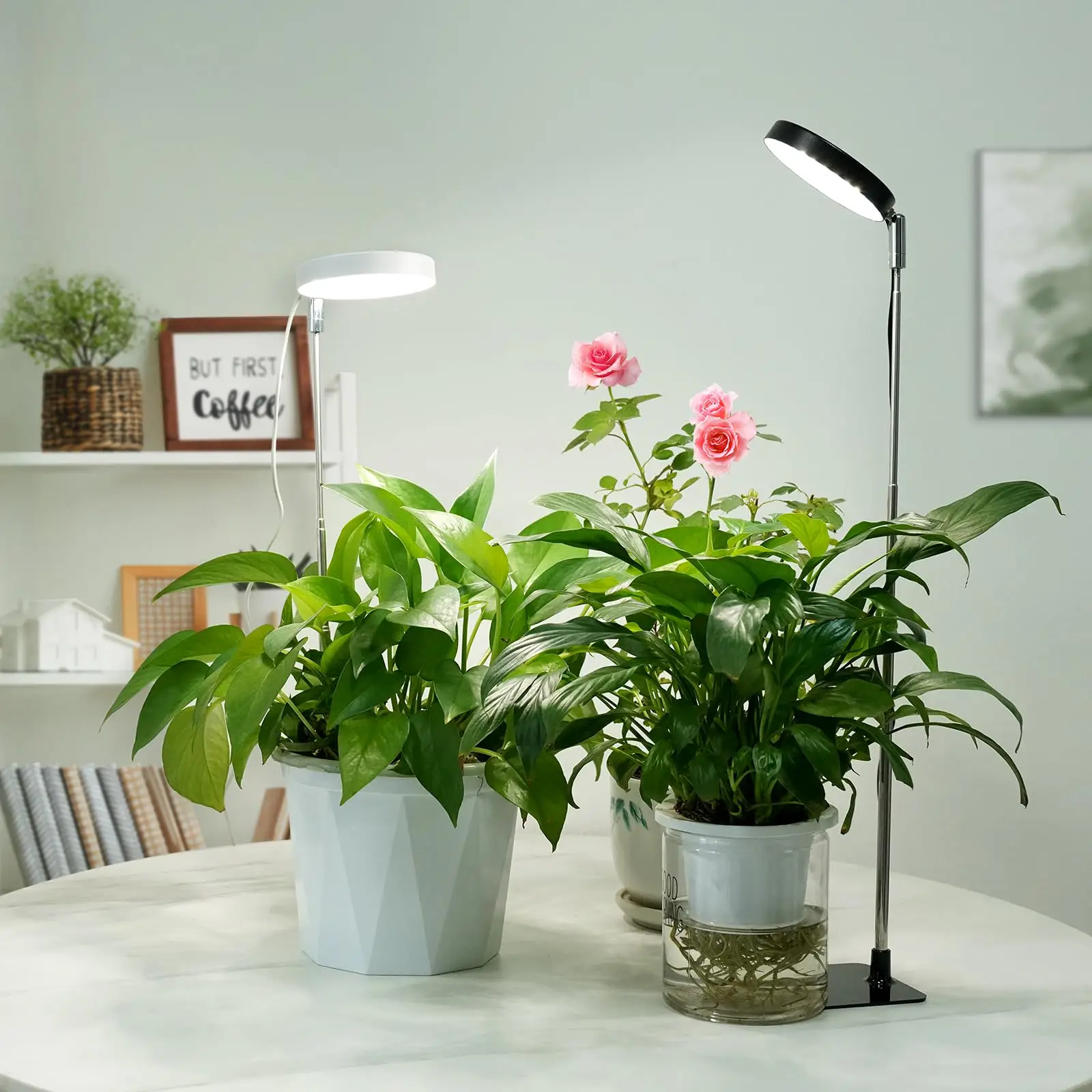 تنمو أضواء للنباتات الداخلية الطيف الكامل، 48 مصباح LED للنباتات الداخلية، 3 طيف اختياري، 3/9/12 ساعة، ضوء النمو