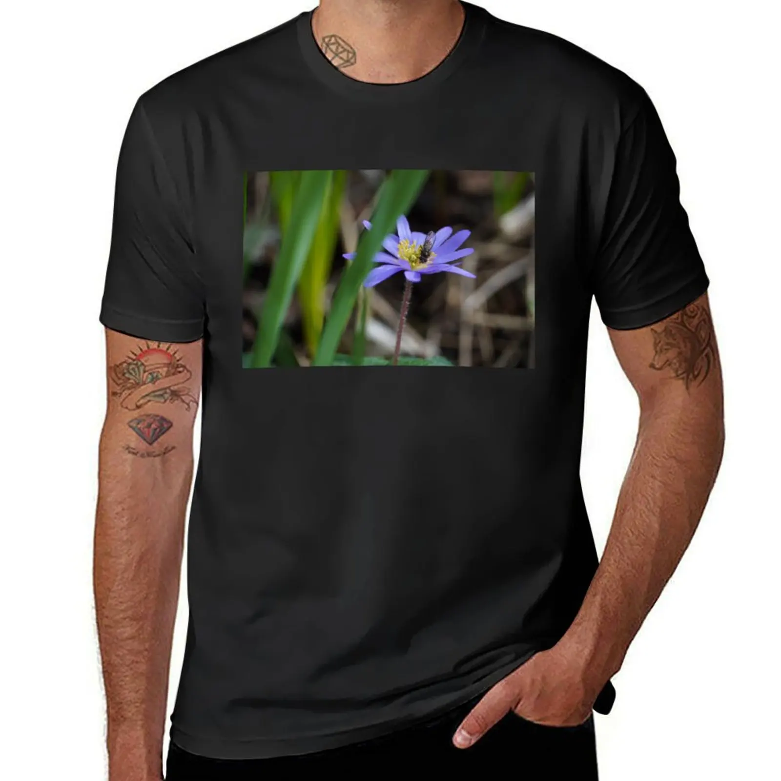 Blue anemone with a fly in spring with white background T-Shirt cute tops Aesthetic clothing heavyweight t shirts for men