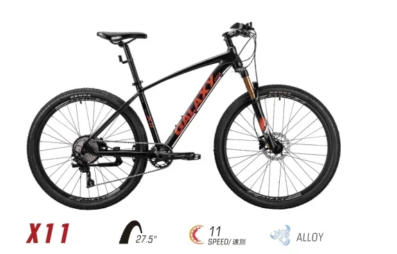 China Factory Wholesale Best Quality X11 11 Speed Downhill Alloy Mountain Bike