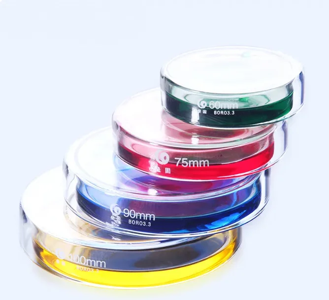 

Clear Glass Petri Dishes With lids Microorganisms Cell Clear Sterile Chemical Instrument Drop Shipping Petri Dishes