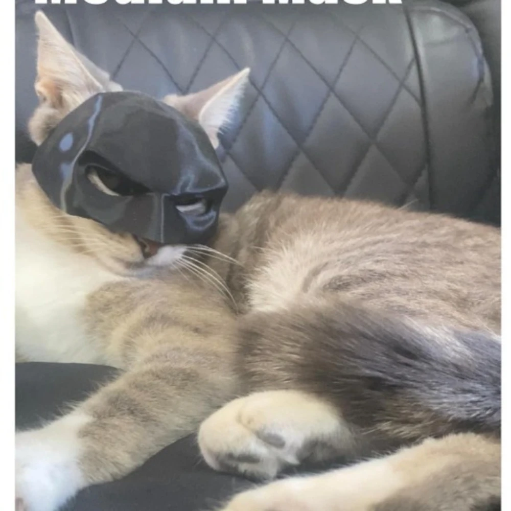

Adjustable Batman-Style Matte Pet Mask - Superhero Costume for Cats with Multi-Size Options
