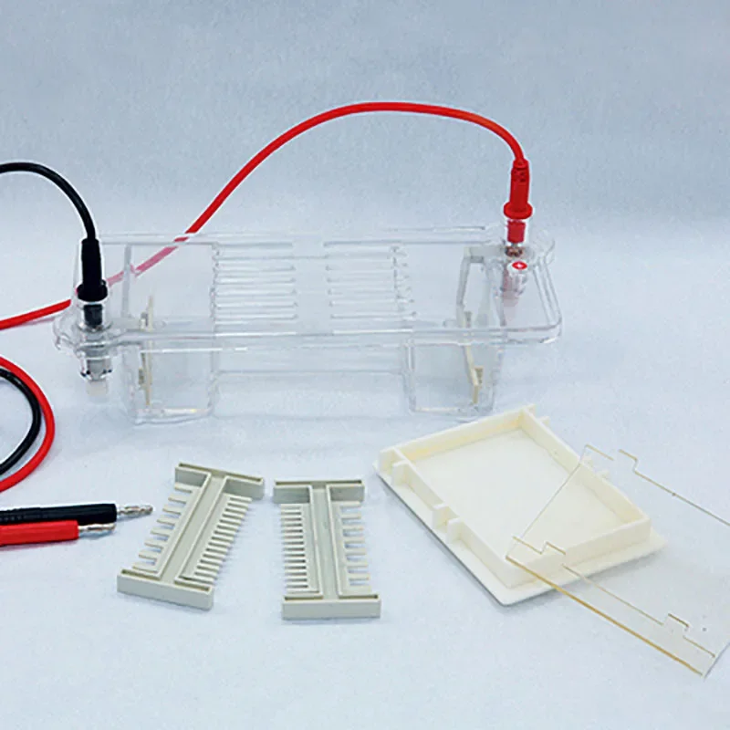 Agarose Level Electrophoresis Instrument,DYCP-31DN DNA Nucleic Acid Electrophoresis Chamber