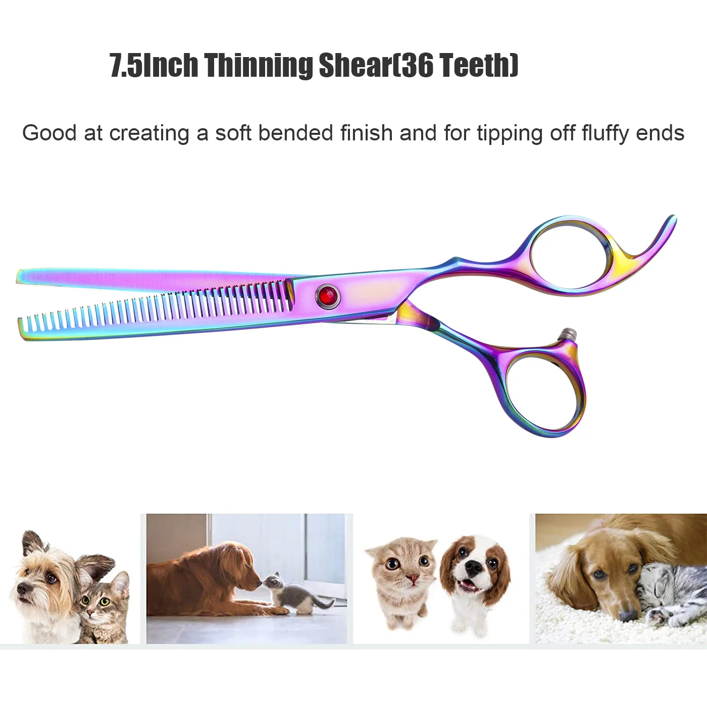 전문 애견 미용 가위 곡선형 및 직선형 가위, 얇게 자르는 가위 및 털 정돈 가위, 개와 고양이 미용용