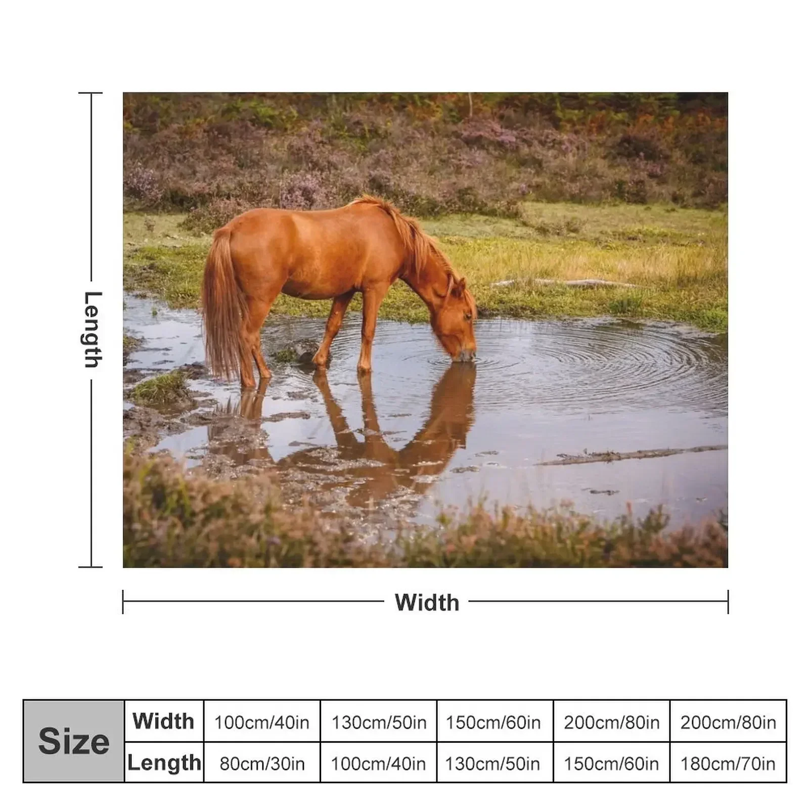 New Forest pony at waterhole with reflection Throw Blanket Single warm for winter Blankets