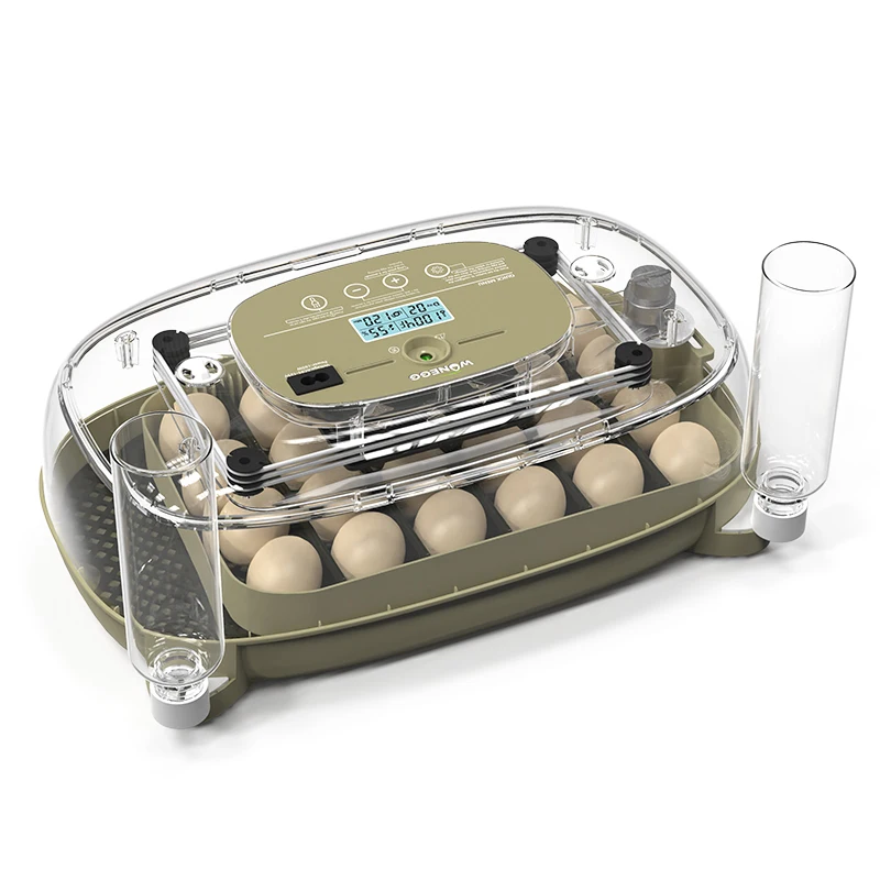 

Hot Sale WONEGG DLM24 Intelligent Incubator, Transparent Top Cover, Electric Automatic Chicken Hatcher for Home
