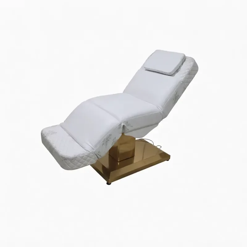 Portable Electric Folding Massage Table 3 Motors Stainless Steel Frame Lightweight For Salon Home Beauty Therapy