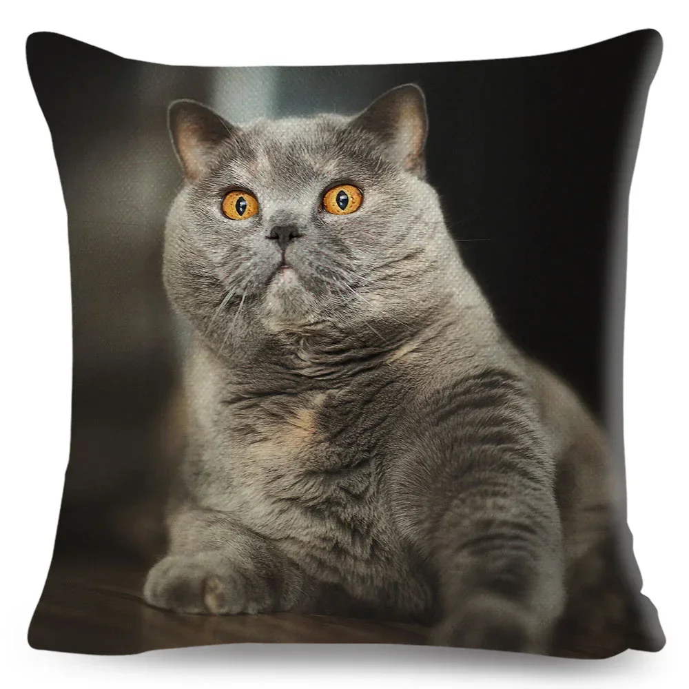 Funda de cojín británica de pelo corto, funda de almohada de poliéster con diseño de gato, mascota, Animal, sofá, hogar y coche