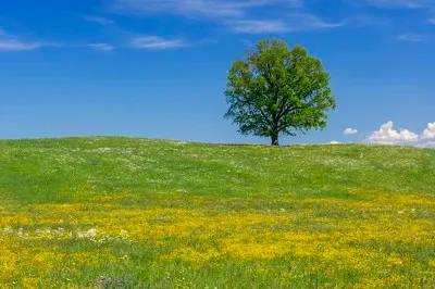 

Metal Upgrade Chassis Frame & Gearbox Mount for MN 1/12 Tank 300 MN300 RC Car Spare Parts