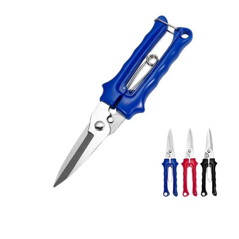 

Stainless Steel Household Straight-end Gardening Tools, Factory Wholesale Garden Scissors, Fruit Floral Branch Thick Branch